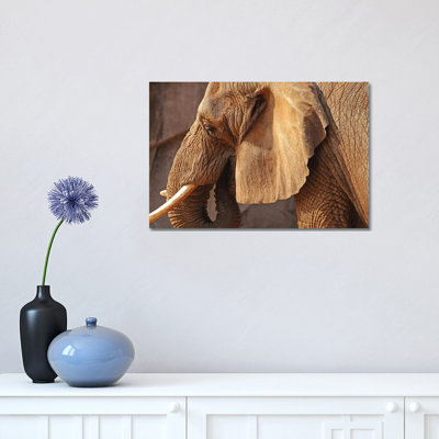 African Elephant 1 Piece Wrapped Canvas Wall Art