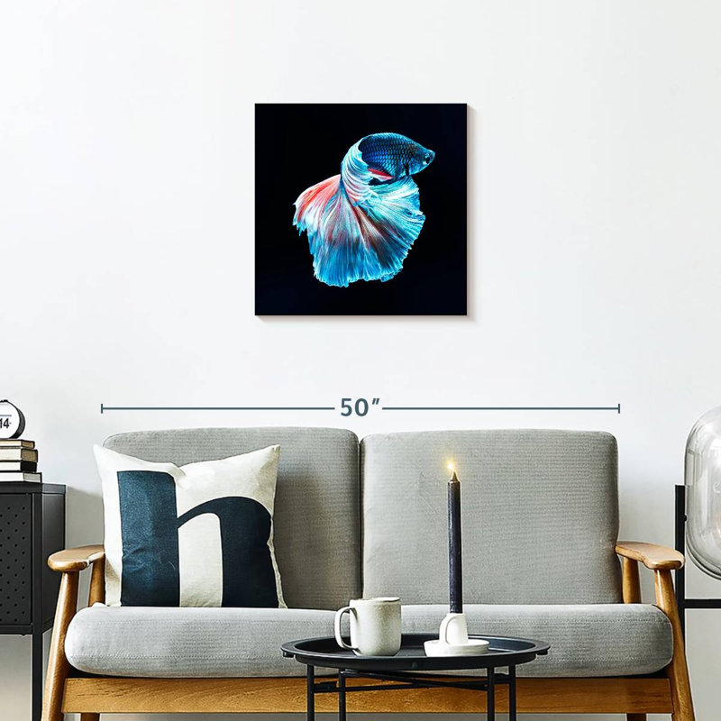 Brampt brillant poisson Betta bleu, H 20 po x l 20 po
