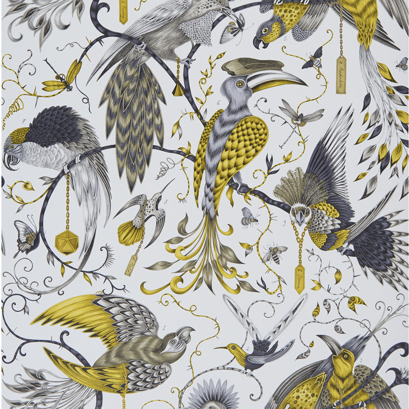 Audubon, Pink