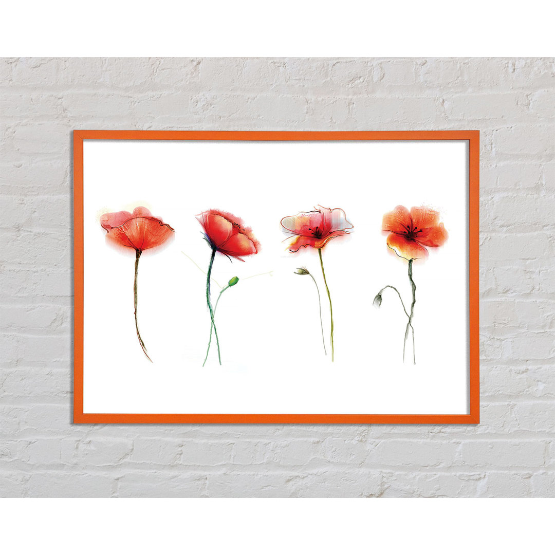 Burtundy Beautiful Red Poppies - Einzelner Bilderrahmen Kunstdrucke