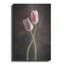 «Spring Tulips V» par Debra Van Swearingen-1634549749
