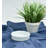 Omniware Culinary Proware Round Creme Brulee
