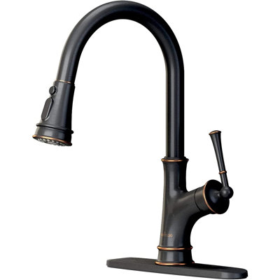 Single Handle Kitchen Faucet With Accessories