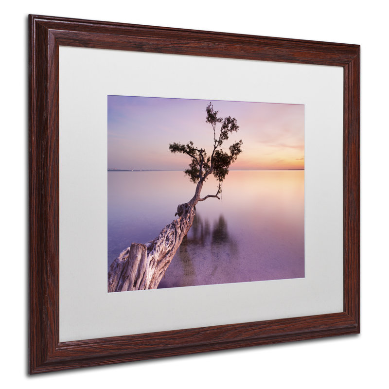 Moises Levy White Framed Canvas Print, 16" x 20"