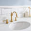 Palace 72'' W Double Vanity-566214677-631026152