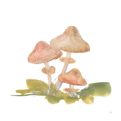 Champignons melleux - impression sur toile tendue
