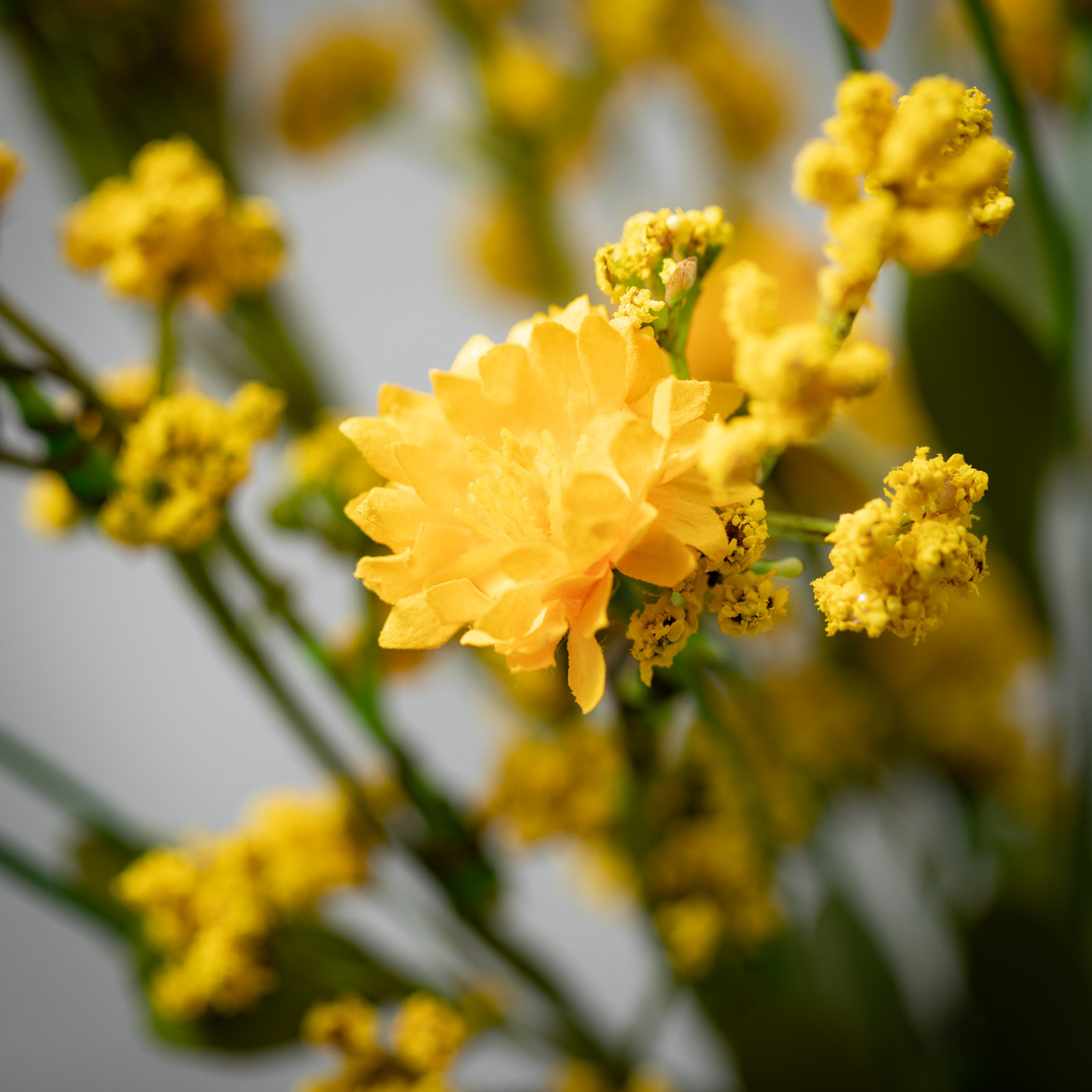 Wildflower Floral Stems