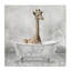 Bébé girafe à l'heure du bain-1714895090-1718174251