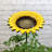 Gerling Metal Pole Decorative Bird Feeder