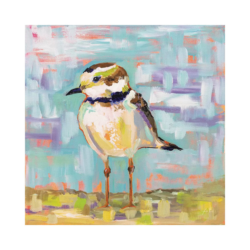 Coastal Plover II 1 Piece Wrapped Canvas Painting, 93.98 cm H x 93.98 cm W