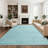 Machine Washable Area Rug with Non Slip TPR Backing, Minimalist Plain Carpet for Living Room Modern Solid Color Dining Room Throw Carpet-1616734230