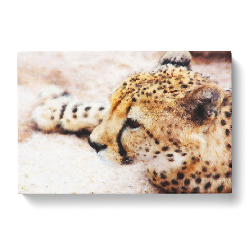 Cheetah Vol.1 - Wrapped Canvas Print, 50cm H x 76cm W x 3cm D