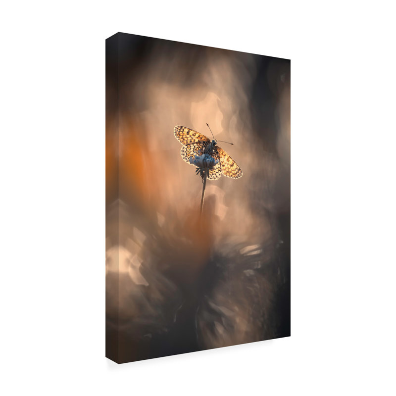 Fabien Bravin  Naturally Framed Canvas Art, H 24 po x l 16 po x P 2 po