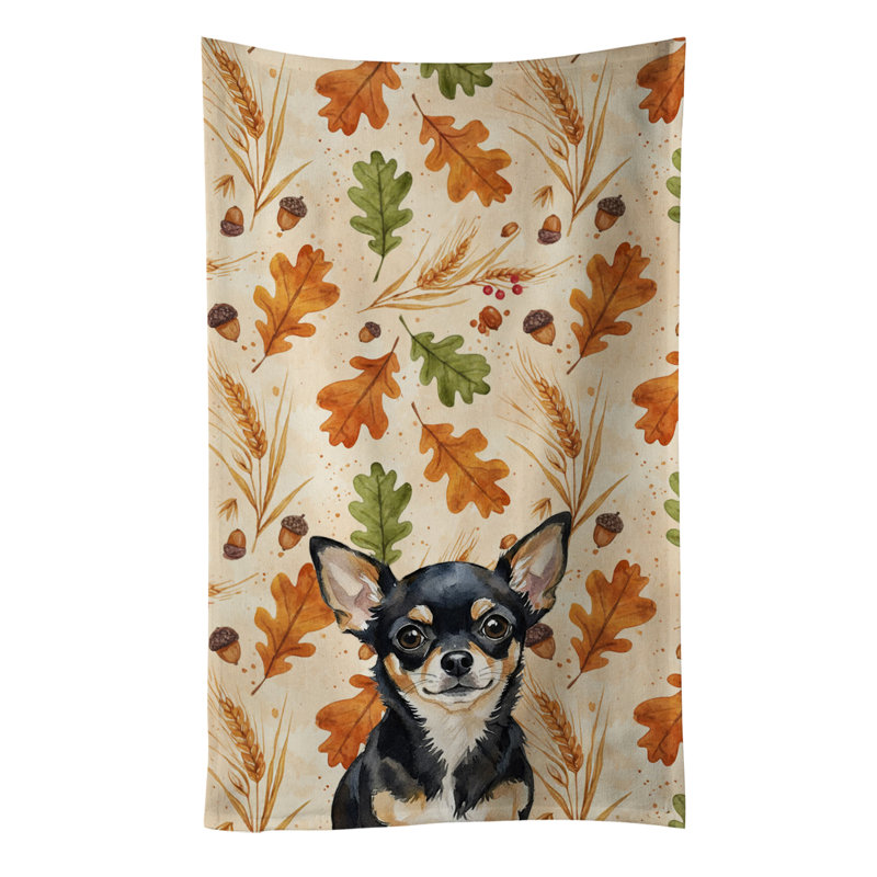 Torchon noir et brun clair Chihuahua, Black and Tan Chihuahua