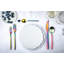5 - Piece Stainless Steel Flatware Set - Service for 1-804235454