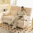 Modern Simple Ergonomic Double Function Recliner-111042233