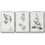 Botanical Imprint I 3 pièces-97757616-97757610