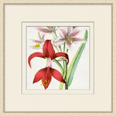 Radiant Blossoms 3 Print