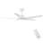 48 In Intergrated LED Ceiling Fan with White ABS Blade