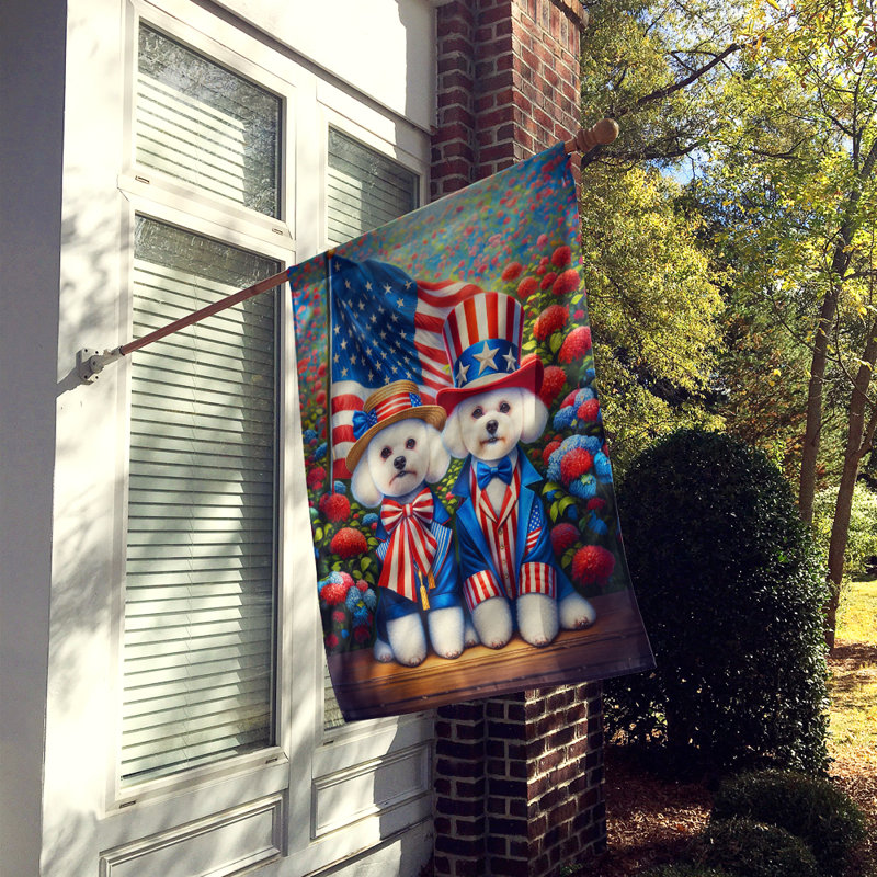 Drapeau «All American House», Bichon frisé