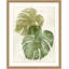 Elephant Ears 2 Print