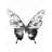 Black butterfly sketch - Black & white insect canvas decor-120128154