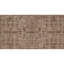 Southwestern Area Rug in Rust/Beige