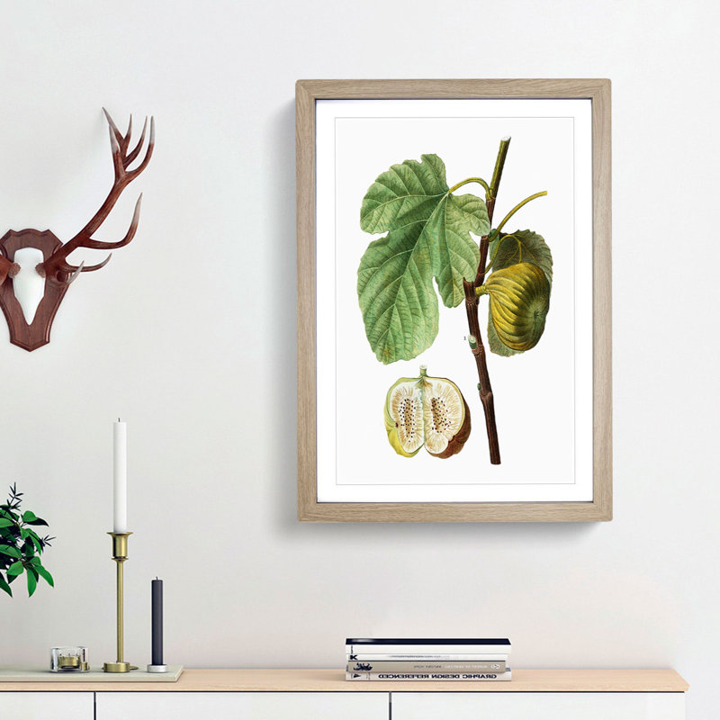 Fig Fruit by Pierre-Joseph Redoute - Picture Frame Painting Print, 36cm H x 27cm W x 2cm D, Oak Framed