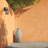 Vickey Wall Light-23967556-23967560