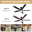 Ceiling Fan with LED Lights-350266710