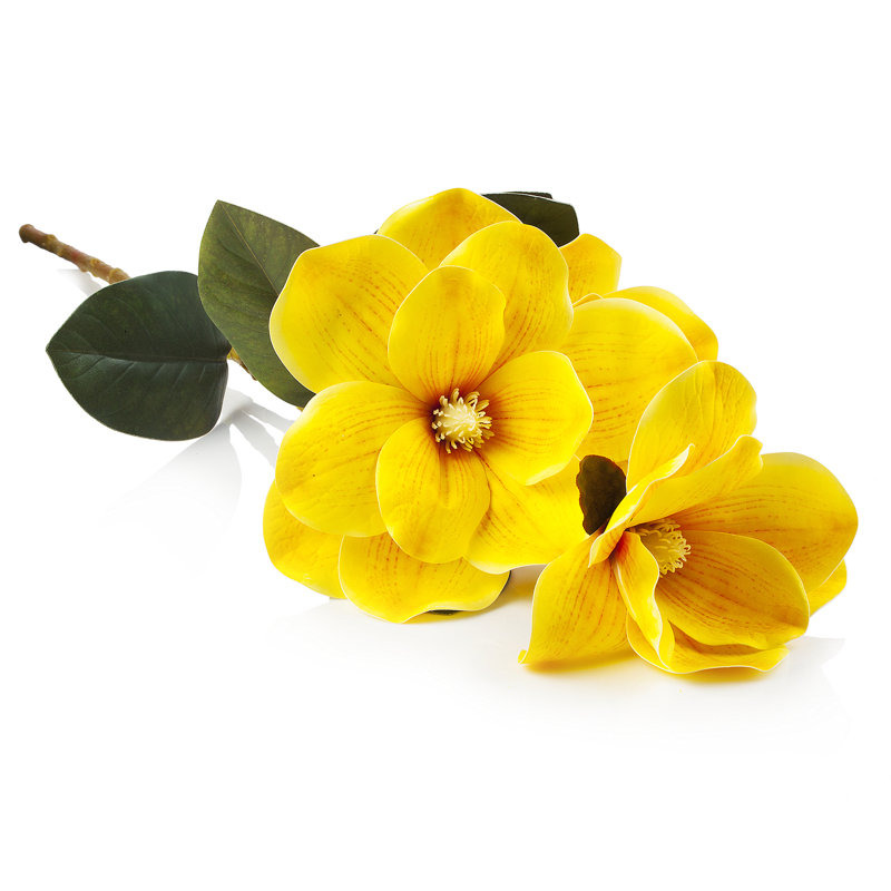 Magnolia Arrangement, Yellow