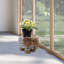 Tabouret de jardin Elephant
