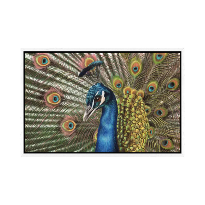 Peacock by Richard Macwee - Gallery-Wrapped Canvas Giclée on Canvas, 66.04 cm H x 45.72 cm W, White Framed