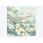 Dogwood Blossoms II by James Wiens - Wrapped Canvas Print-1012355587