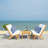 Bailey-Mae Eucalyptus 4 - Person Patio Conversation Set with Cushions