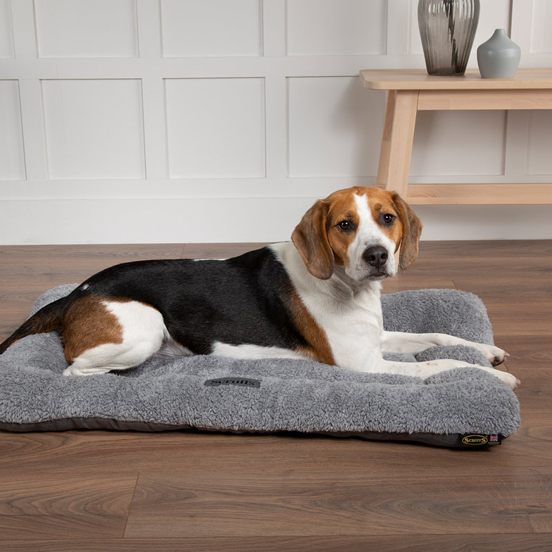 Cosy Polyester Pet Bed