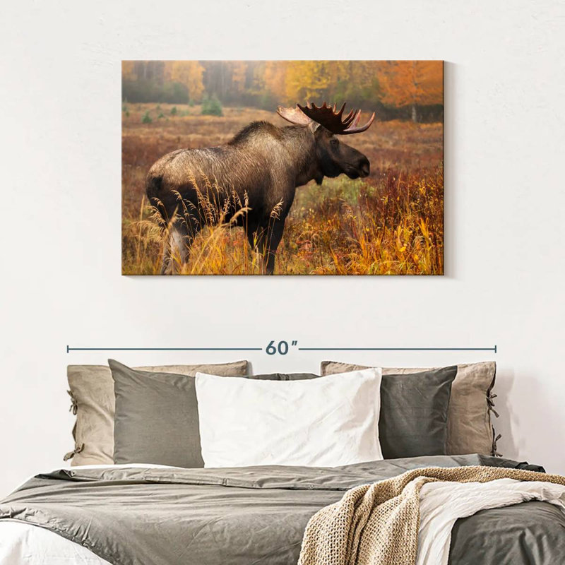 Crowle Mighty Alaskan Moose, H 30 po x l 45 po