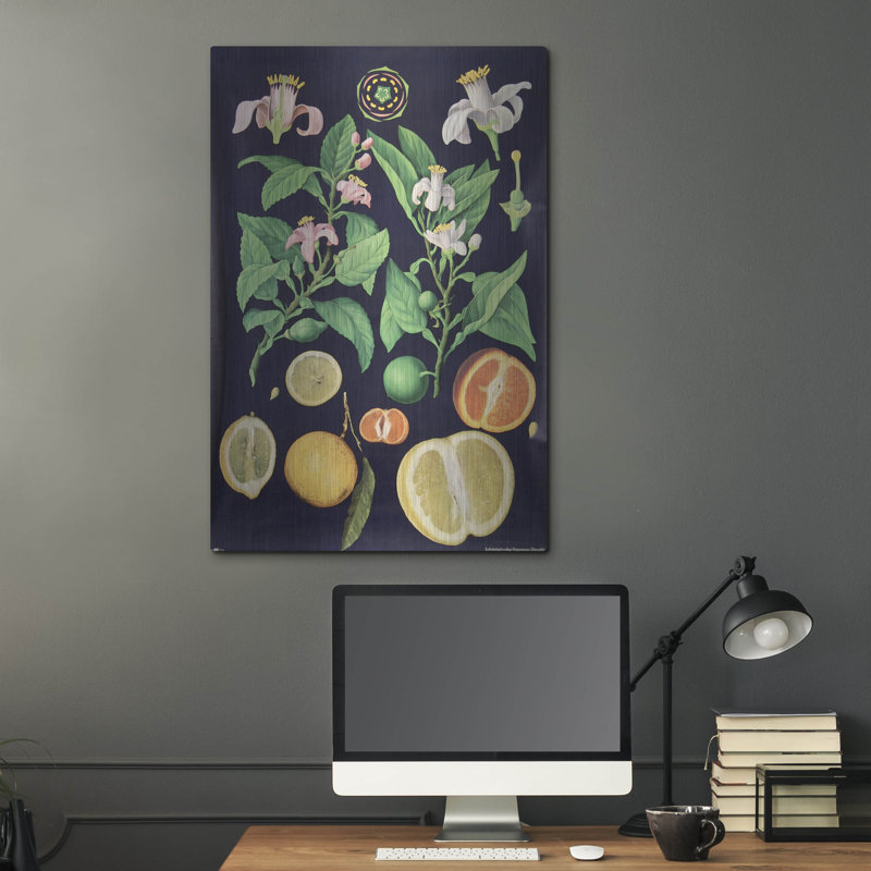 Métal de luxe «Citrus» par Vintage Posters, métal «Citrus» par Vintage Posters, H 36 po x l 24 po