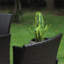 Chaise de terrasse avec coussin Leigh