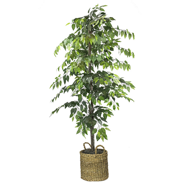 72" Artificial Ficus Tree in Basket