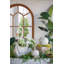 Sculpture en cerisier blanc vieilli D9X23 "-219058353