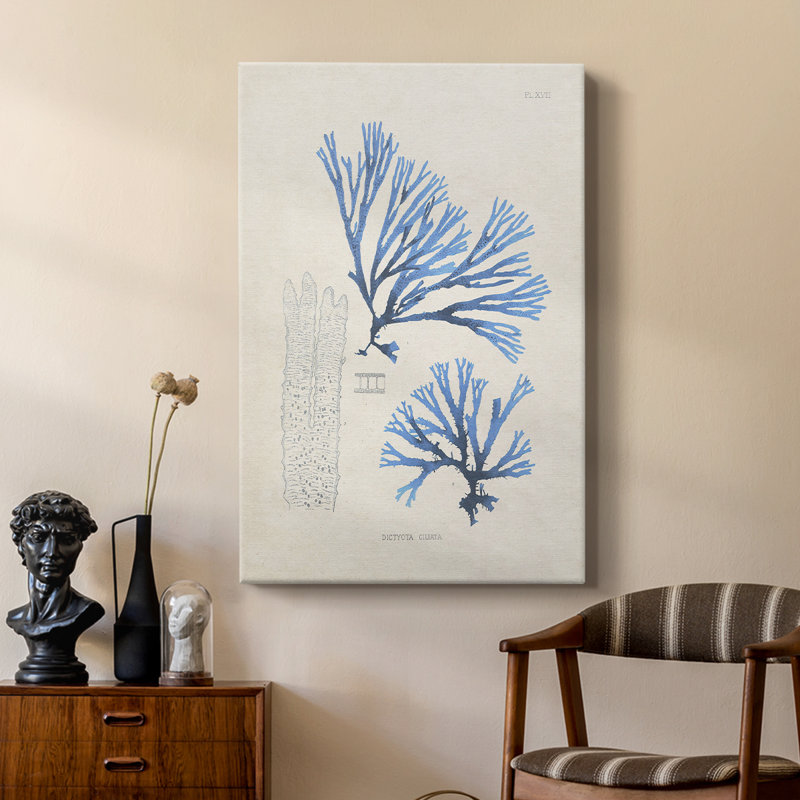 Blue Marine Algae V - galerie sur mesure, H 18 po x l 12 po