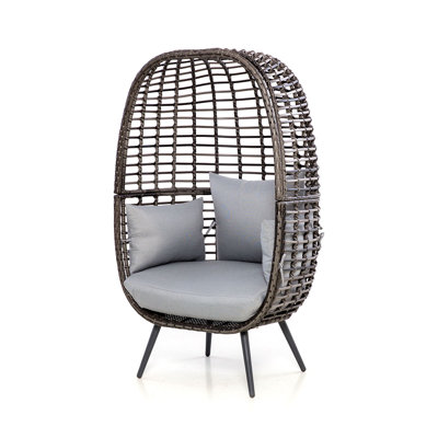 Fairborn Rattan Pod Chair