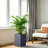 12.5" H Rectangle Tall Concrete Planter, Ideal For Succulents & Houseplants, Warm Gray-1822831333-1822831355