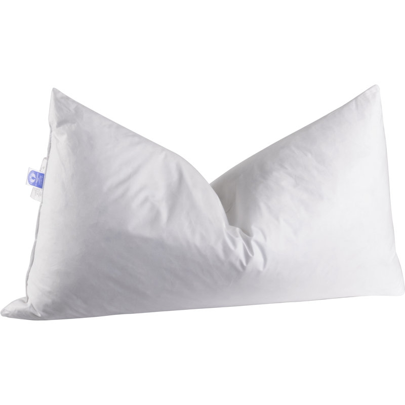 Bigley Throw Pillow Insert, 14" H x 20" W