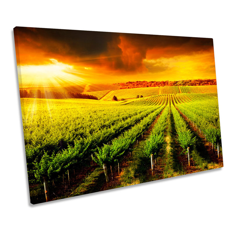 Vineyard Sunset Landscape - Wrapped Canvas Print, 40.6cm H x 61cm W