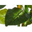130cm Faux Banana Leaf Plant in Pot