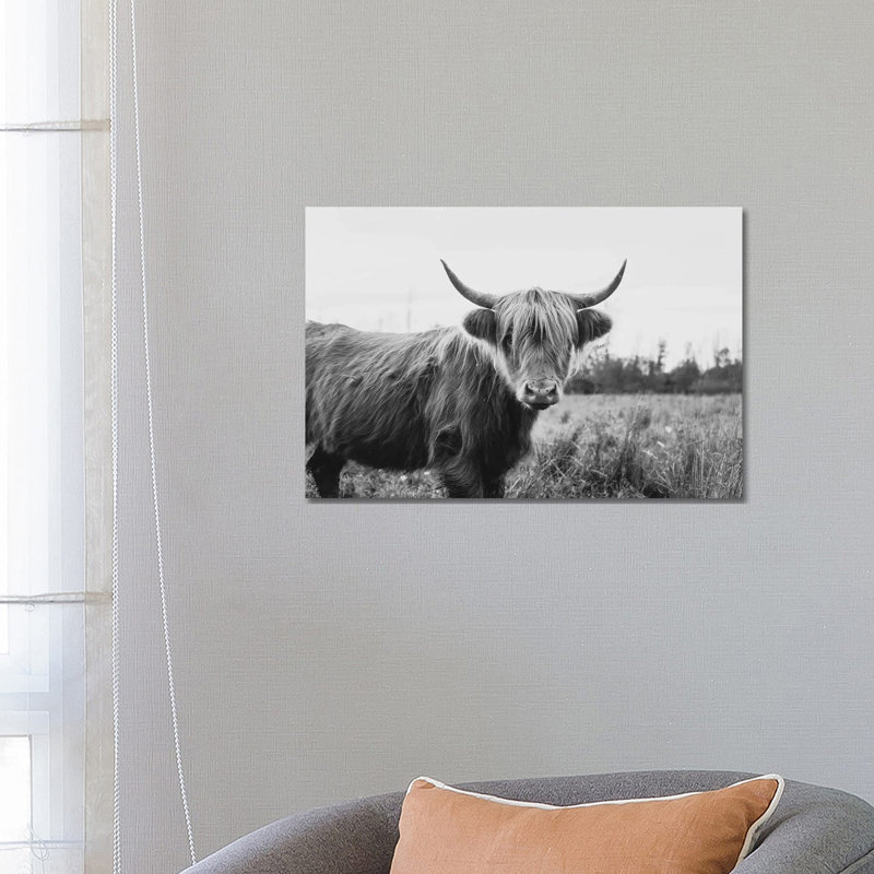Furry Highland Cow Black And White by Chelsea Victoria - Wrapped Canvas Print, 66.04 cm H x 45.72 cm W x 1.91 cm D