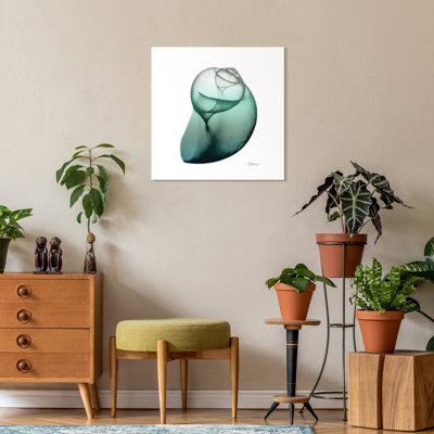 «Shimmering Snail I» par Albert Koetsier, reproduction de photo sur toile tendue