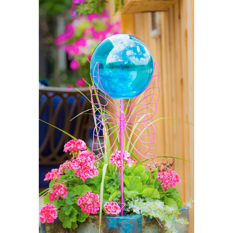 Balle fixant le papillon Hehir, Bleu / rose
